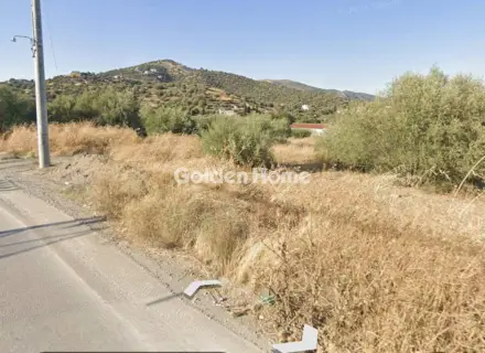 Residential 1017m<sup>2</sup> for sale photo 3