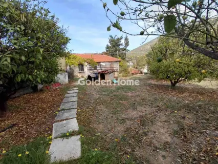 Golden Home Property Image