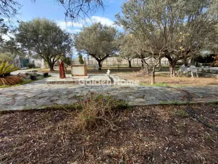 复合住宅 455m<sup>2</sup> for sale photo 26