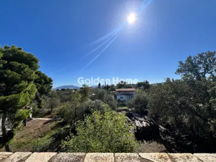 House 450m<sup>2</sup> for sale photo 10