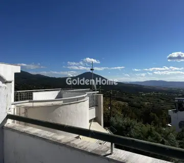 Μεζονέτα Εφαπτόμενη 287τ.μ. προς πώληση φωτογραφία 5088583