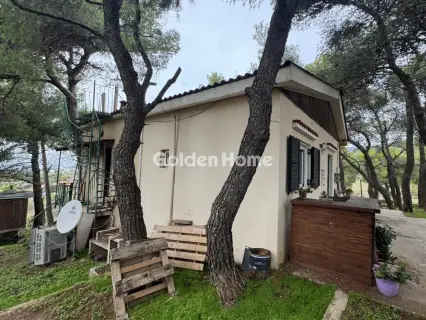 Αγροτεμάχιο 420τ.μ. προς πώληση φωτογραφία 2