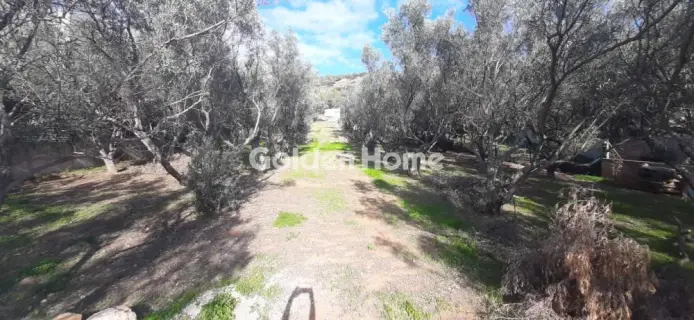 Residential 1037m<sup>2</sup> for sale photo 3