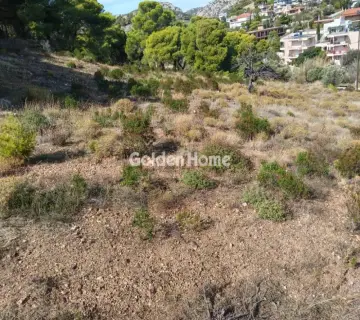 Residential 6000m<sup>2</sup> for sale photo 4