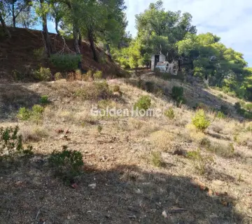 Residential 6000m<sup>2</sup> for sale photo 3