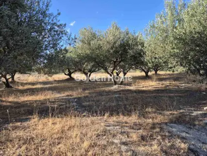 Residential 1015m<sup>2</sup> for sale photo 4