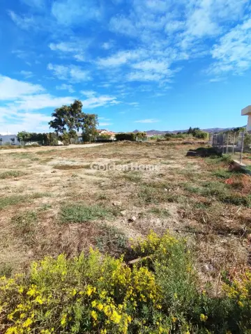 Residential 256m<sup>2</sup> for sale photo 5090831