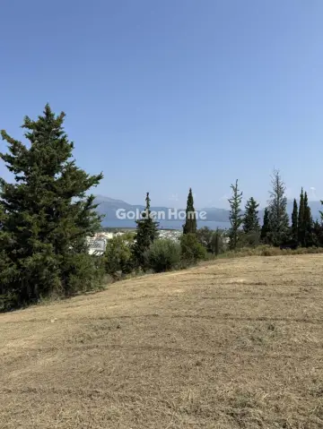 Professional Plot 12000m<sup>2</sup> for sale photo 1