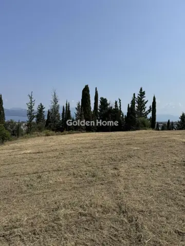 Professional Plot 12000m<sup>2</sup> for sale photo 3