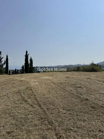Professional Plot 12000m<sup>2</sup> for sale photo 4