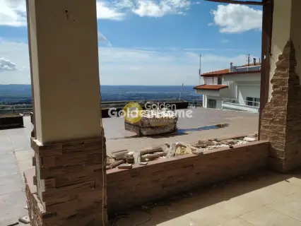 Κατάστημα 332τ.μ. προς πώληση φωτογραφία 5341900