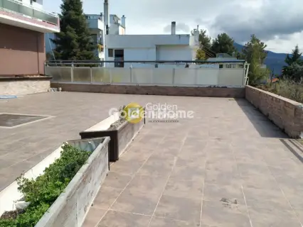 Κατάστημα 332τ.μ. προς πώληση φωτογραφία 5341905