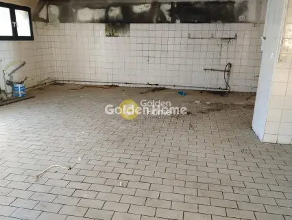 Κατάστημα 332τ.μ. προς πώληση φωτογραφία 5341952