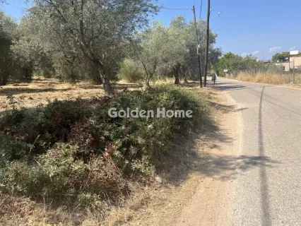 Οικιστικό 4000τ.μ. προς πώληση φωτογραφία 5096905