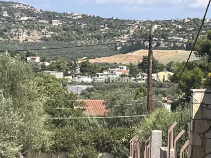 Οικιστικό 4000τ.μ. προς πώληση φωτογραφία 5096904