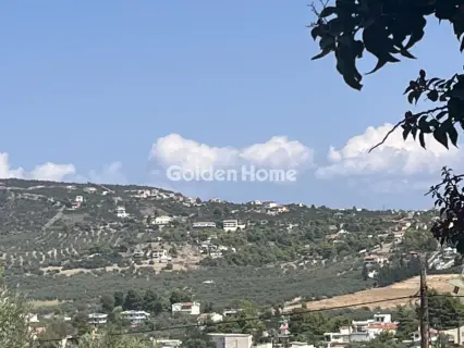 Οικιστικό 4000τ.μ. προς πώληση φωτογραφία 5096907
