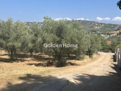 Οικιστικό 4000τ.μ. προς πώληση φωτογραφία 5096908