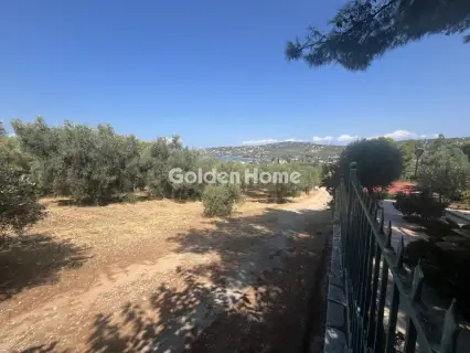 Οικιστικό 4000τ.μ. προς πώληση φωτογραφία 5096909