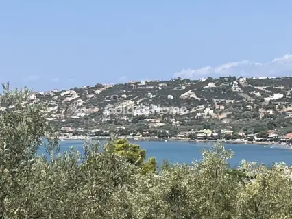 Οικιστικό 4000τ.μ. προς πώληση φωτογραφία 5096902
