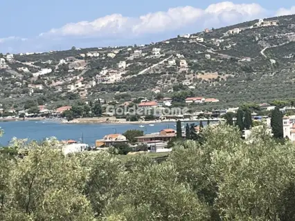Οικιστικό 4000τ.μ. προς πώληση φωτογραφία 5096901
