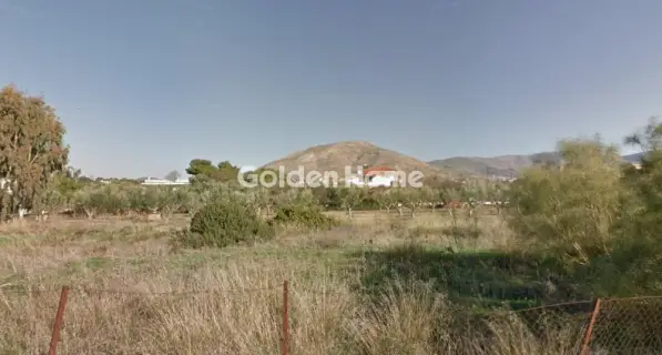 Residential 772m<sup>2</sup> for sale photo 2
