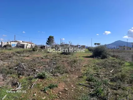 住宅 5447m<sup>2</sup> for sale photo 3