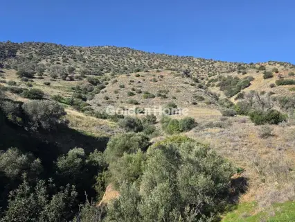 Residential 29000m<sup>2</sup> for sale photo 2