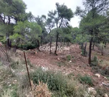 Residential 2016m<sup>2</sup> for sale photo 1
