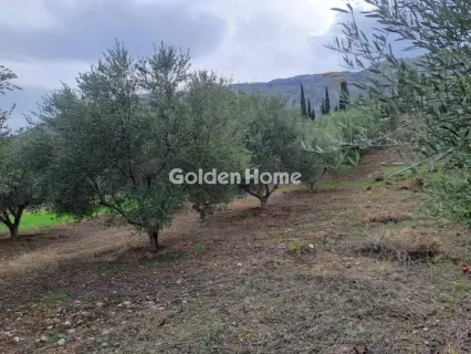 Αγροτεμάχιο 1000τ.μ. προς πώληση φωτογραφία 2