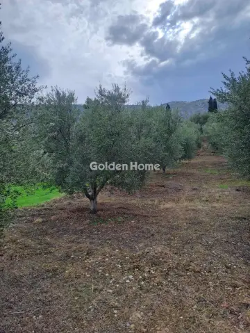 Αγροτεμάχιο 1000τ.μ. προς πώληση φωτογραφία 1