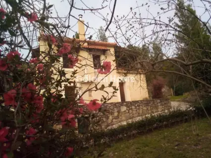 House 120m<sup>2</sup> for rent photo 16