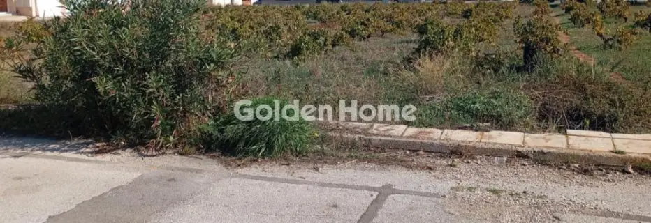 Golden Home Property Image