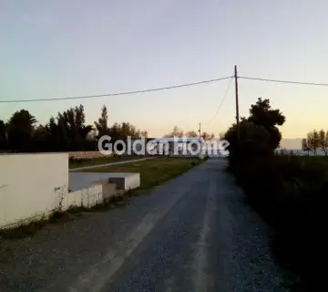 Store 200m<sup>2</sup> for sale photo 5101369