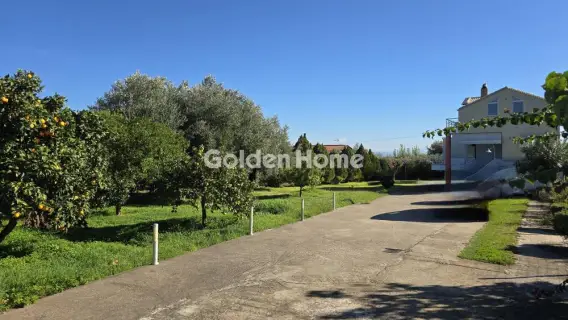 Golden Home Property Image