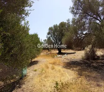 Parcel 1800m<sup>2</sup> for sale photo 5107886