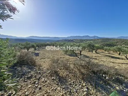 Residential 9200m<sup>2</sup> for rent photo 5113885