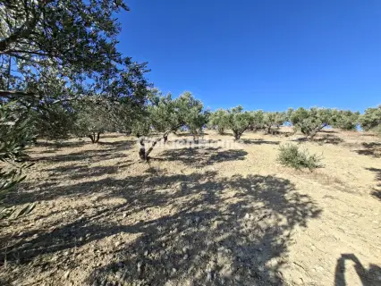 Residential 9200m<sup>2</sup> for sale photo 4