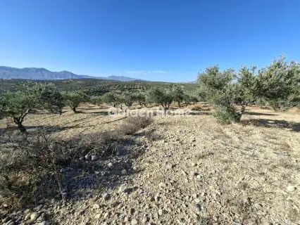 Residential 9200m<sup>2</sup> for sale photo 20
