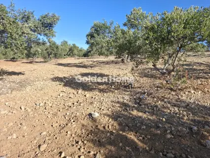 Residential 9200m<sup>2</sup> for sale photo 23