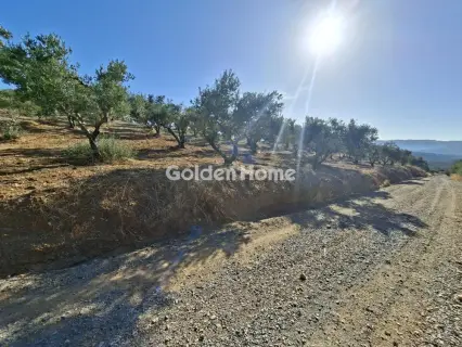 Residential 9200m<sup>2</sup> for sale photo 26