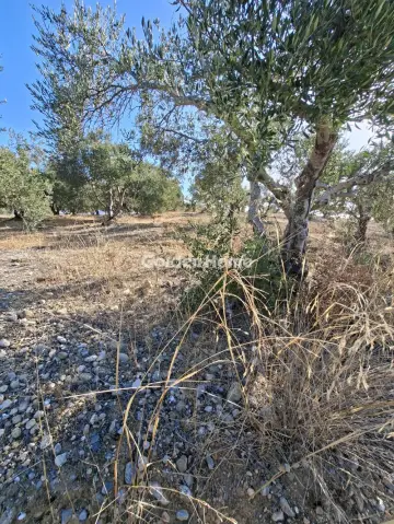 Residential 9200m<sup>2</sup> for sale photo 30