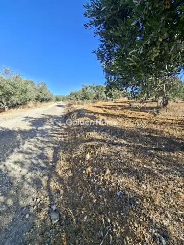Residential 9200m<sup>2</sup> for sale photo 32