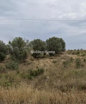 Professional Plot 20000m<sup>2</sup> for sale photo 1