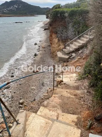 住宅 1220m<sup>2</sup> for sale photo 5145053