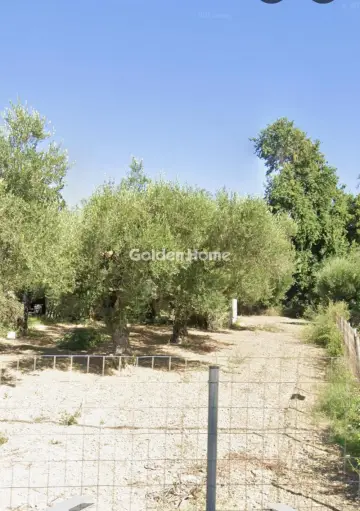 Residential 1155m<sup>2</sup> for sale photo 7