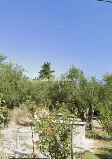 Residential 1155m<sup>2</sup> for sale photo 8