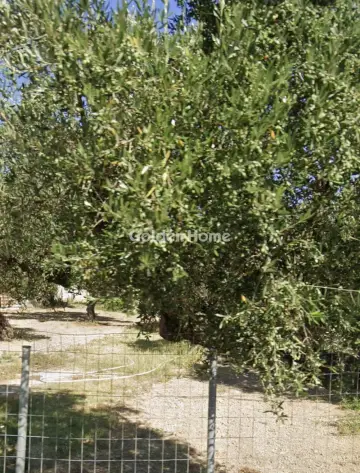 Residential 1155m<sup>2</sup> for sale photo 11