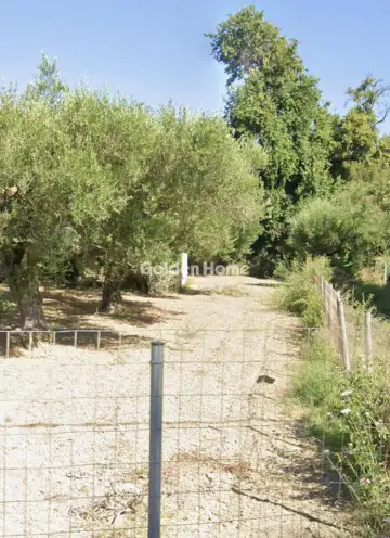 Residential 1155m<sup>2</sup> for sale photo 12