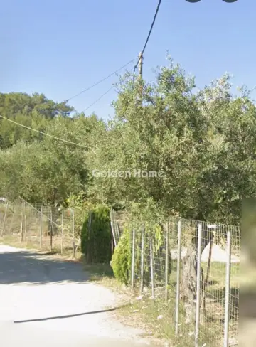 Residential 1155m<sup>2</sup> for sale photo 15