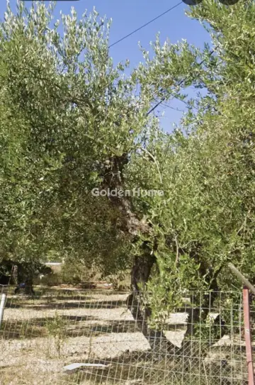 Residential 1155m<sup>2</sup> for sale photo 16